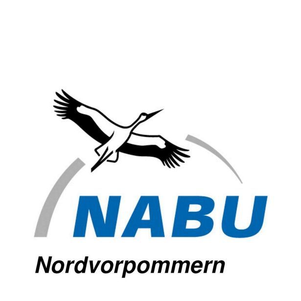 Der NABU-Insektensommer | Zähl mit!