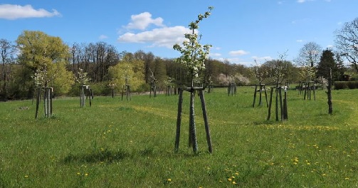 Streuobstwiesenfest am 26. April 2024