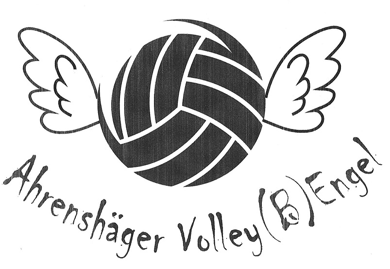 Sektion Freizeit Volleyball Mixed und Kinder Volleyball