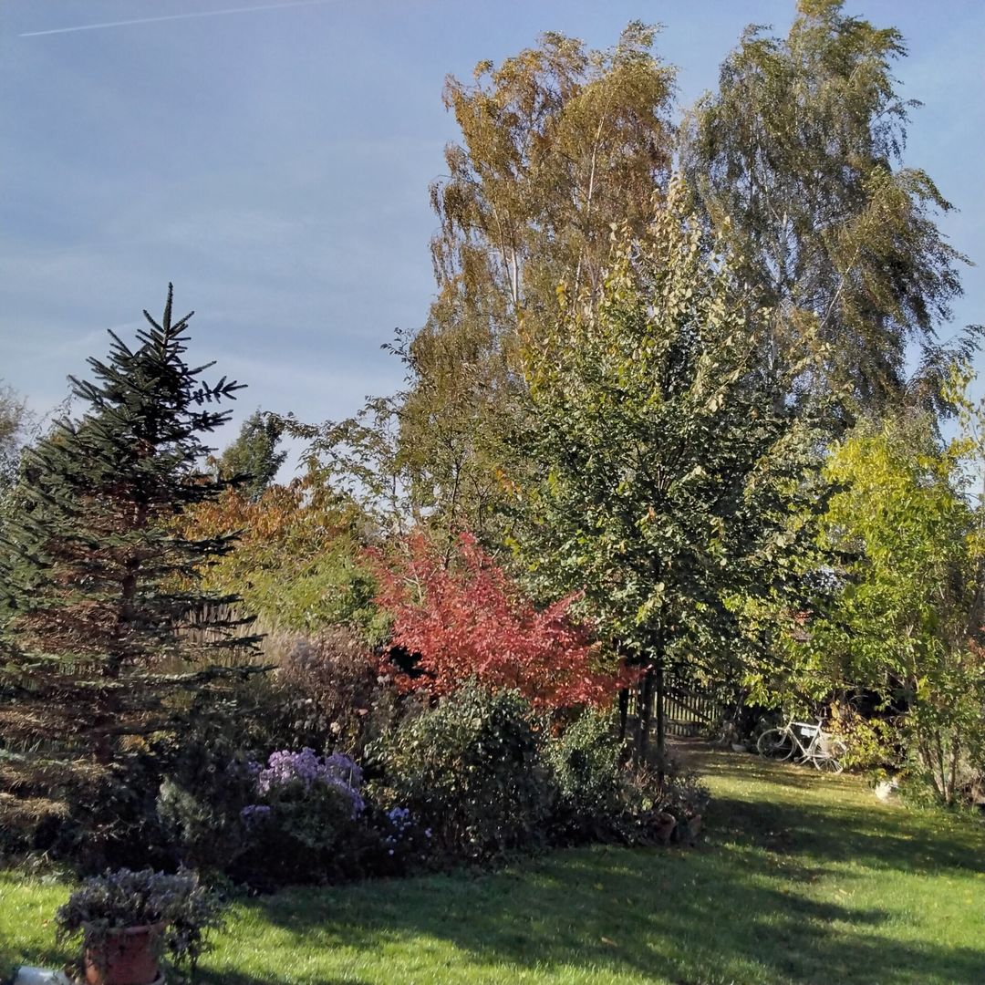 30. September - 1. Oktober | Treckeltied 2023 30. September - 1. Oktober | Treckeltied 2023