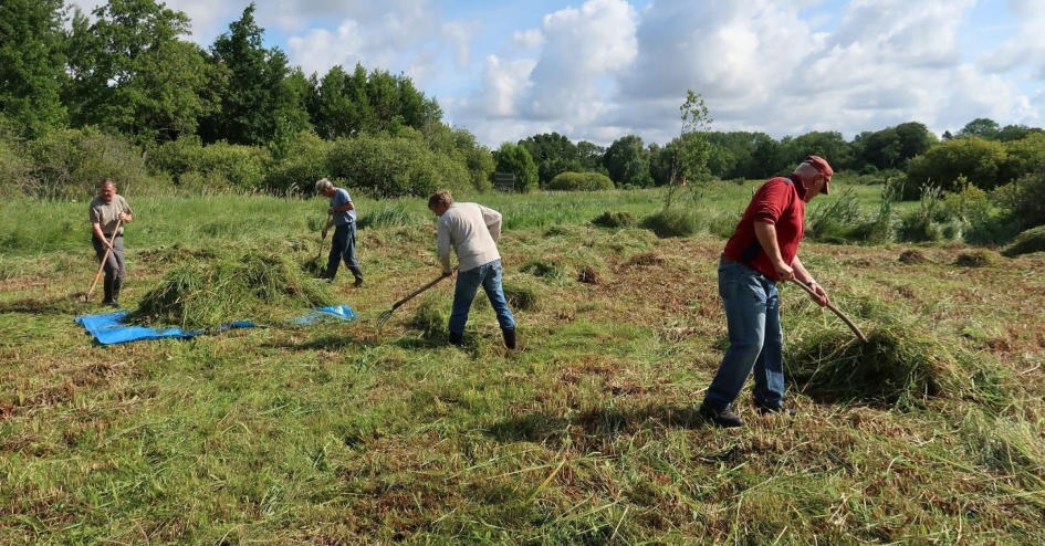 Arbeiten zum Erhalt wertvoller Moorwiesen bei Gruel Arbeiten zum Erhalt wertvoller Moorwiesen bei Gruel