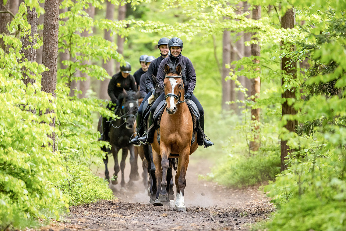 Reiten